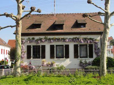 Bestattungshaus Wilhelm Volz